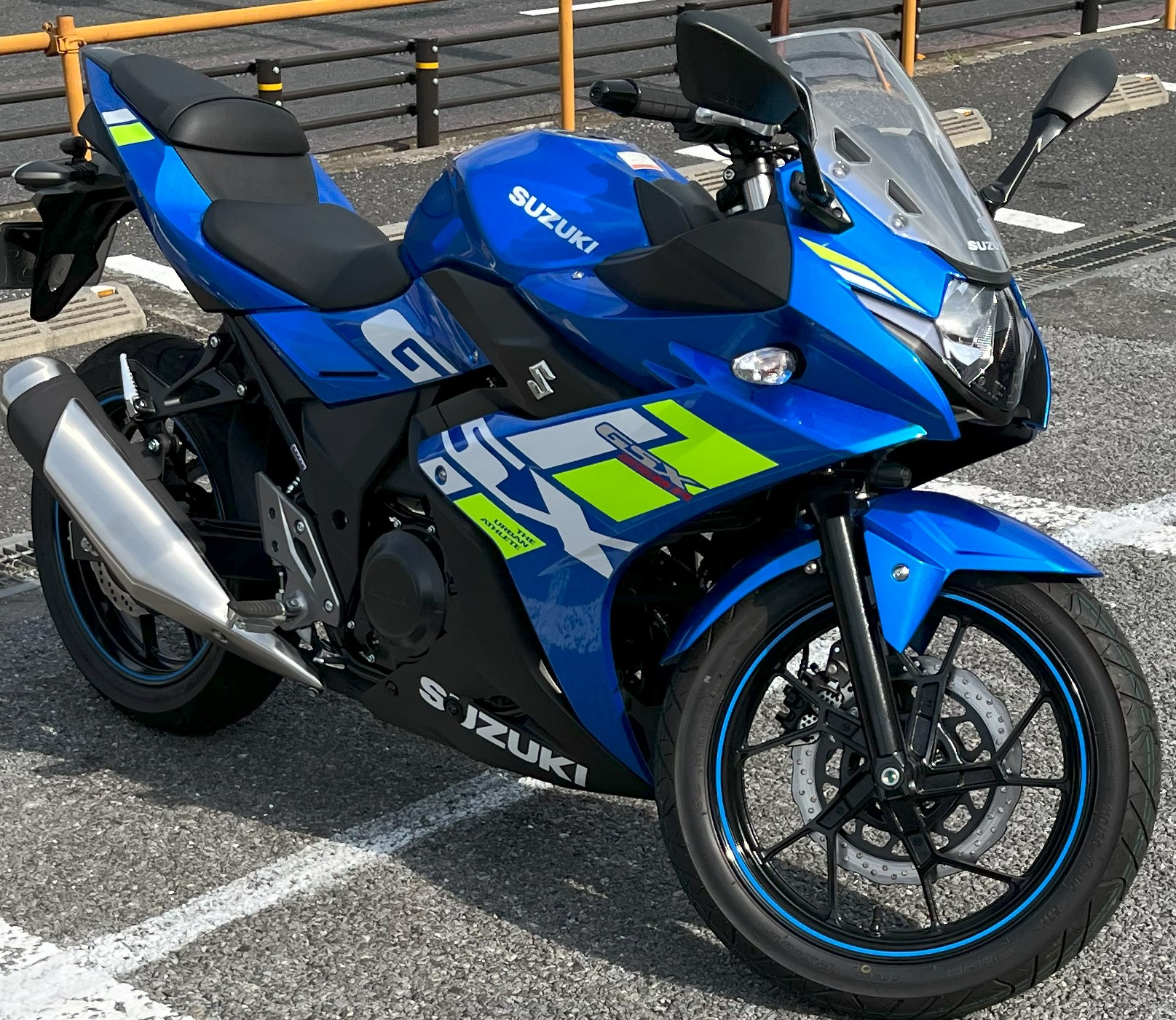 ブルーで凄く美しいカブリモドキ！ ブルーで凄く美しいカブリモドキ！ 2025年最新】カブリモドキの